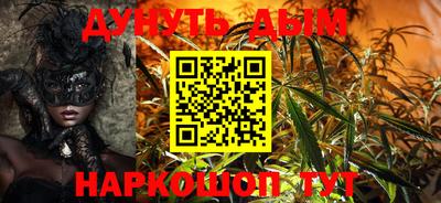 гашик Боровичи