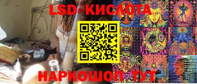 гашик Боровичи