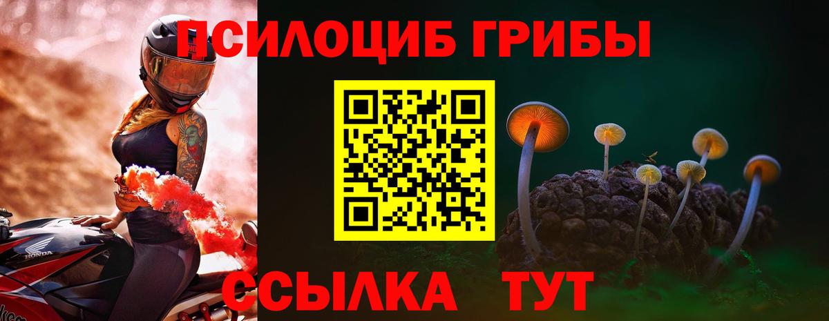 Псилоцибиновые грибы Magic Shrooms  Псилоцибиновые грибы Psilocybe  Вход с VPN  Казань 